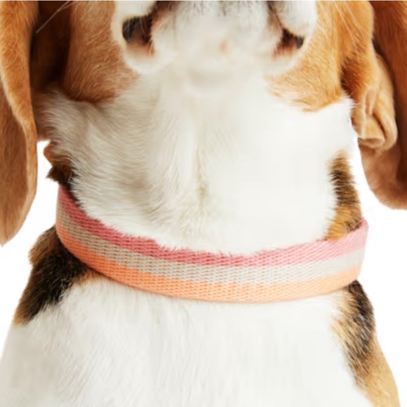 YOULY the avant-garde Horiztonal Stripe Dog Collar, Pink Small - Picture 3 of 8